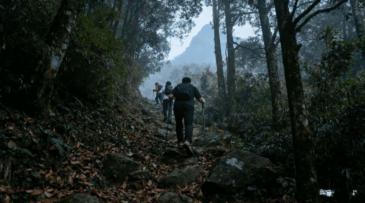 华为手机下载蚂蚁加速器的常见问题与解决方案